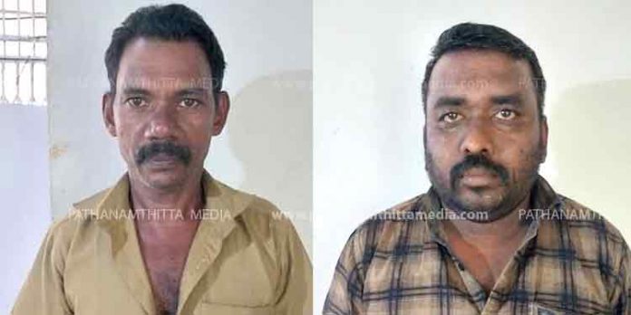 പത്തനംതിട്ട ലഹരിയില് മുങ്ങുന്നു ; ഓട്ടോറിക്ഷയിൽ കടത്തിയ 3 കിലോ കഞ്ചാവ് പിടികൂടി പത്തനംതിട്ട ലഹരിയില് മുങ്ങുന്നു ; ഓട്ടോറിക്ഷയിൽ കടത്തിയ 3 കിലോ കഞ്ചാവ് പിടികൂടി