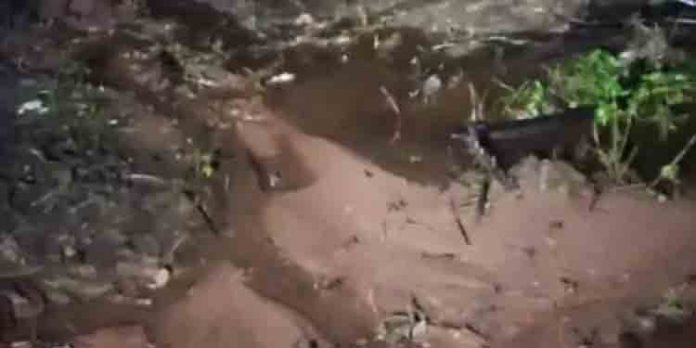 കോഴിക്കോട് മലയോര മേഖലകളില് മഴ ശക്തം; ചേലുപ്പാറക്ക് സമീപം ഉരുള്പൊട്ടിയതായി സംശയം കോഴിക്കോട് മലയോര മേഖലകളില് മഴ ശക്തം; ചേലുപ്പാറക്ക് സമീപം ഉരുള്പൊട്ടിയതായി സംശയം