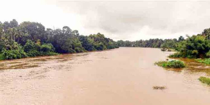 പത്തനംതിട്ട ജില്ലയുടെ മലയോരമേഖലയില് കനത്ത മഴ തുടരുന്നു പത്തനംതിട്ട ജില്ലയുടെ മലയോരമേഖലയില് കനത്ത മഴ തുടരുന്നു