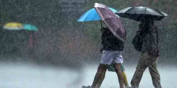 കനത്ത മഴ : കണ്ണൂര് ഉള്പ്പെടെ 9ജില്ലകളില് വിദ്യാഭ്യാസ സ്ഥാപനങ്ങള്ക്ക് അവധി കനത്ത മഴ : കണ്ണൂര് ഉള്പ്പെടെ 9ജില്ലകളില് വിദ്യാഭ്യാസ സ്ഥാപനങ്ങള്ക്ക് അവധി