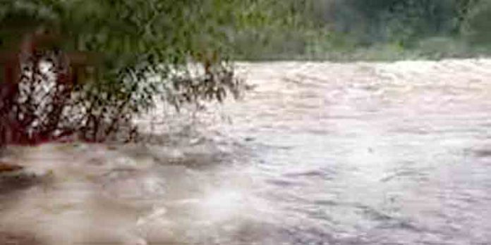 ചാലക്കുടി പുഴയില് ജലനിരപ്പ് കുറഞ്ഞു ചാലക്കുടി പുഴയില് ജലനിരപ്പ് കുറഞ്ഞു