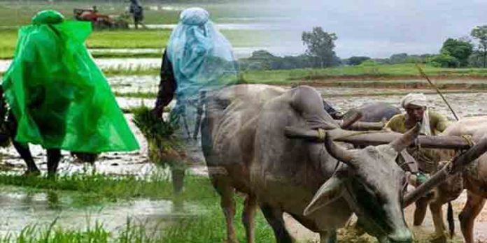 സാമ്പത്തിക പ്രതിസന്ധിമൂലം പ്രാദേശിക കാര്ഷിക വിപണന കേന്ദ്രങ്ങള്ക്കുള്ള സഹായം സംസ്ഥാന സര്ക്കാര് റദ്ദാക്കി സാമ്പത്തിക പ്രതിസന്ധിമൂലം പ്രാദേശിക കാര്ഷിക വിപണന കേന്ദ്രങ്ങള്ക്കുള്ള സഹായം സംസ്ഥാന സര്ക്കാര് റദ്ദാക്കി