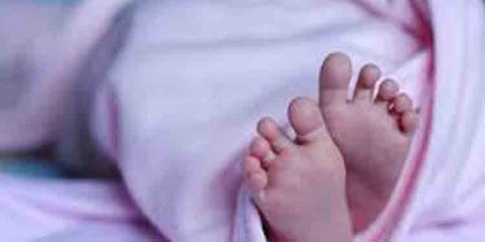 അട്ടപ്പാടിയില് വീണ്ടും നവജാത ശിശു മരണം അട്ടപ്പാടിയില് വീണ്ടും നവജാത ശിശു മരണം