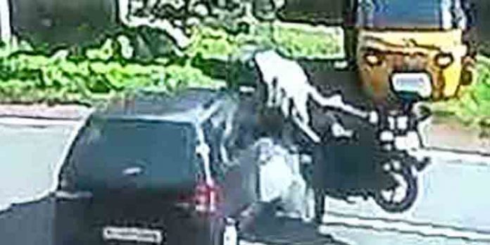 കാര് – ബൈക്കിലിടിച്ച് മധ്യവയസ്ക്കന് പരിക്ക് കാര് – ബൈക്കിലിടിച്ച് മധ്യവയസ്ക്കന് പരിക്ക്