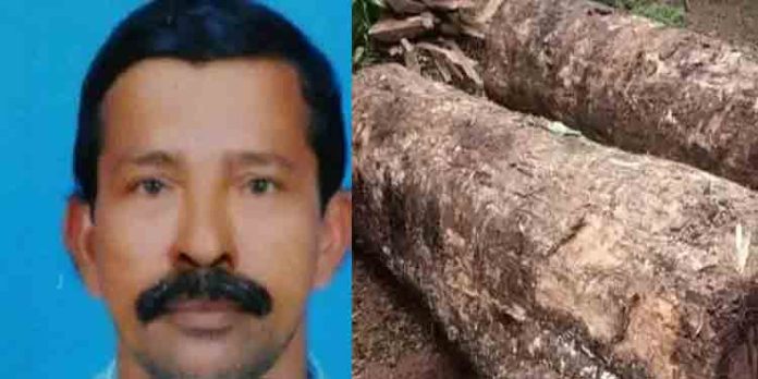 റിസര്വ് വനത്തില് നിന്ന് തേക്ക് മരം മുറിച്ച് കടത്തി ; സിപിഐഎം ബ്രാഞ്ച് സെക്രട്ടറി അറസ്റ്റില് റിസര്വ് വനത്തില് നിന്ന് തേക്ക് മരം മുറിച്ച് കടത്തി ; സിപിഐഎം ബ്രാഞ്ച് സെക്രട്ടറി അറസ്റ്റില്
