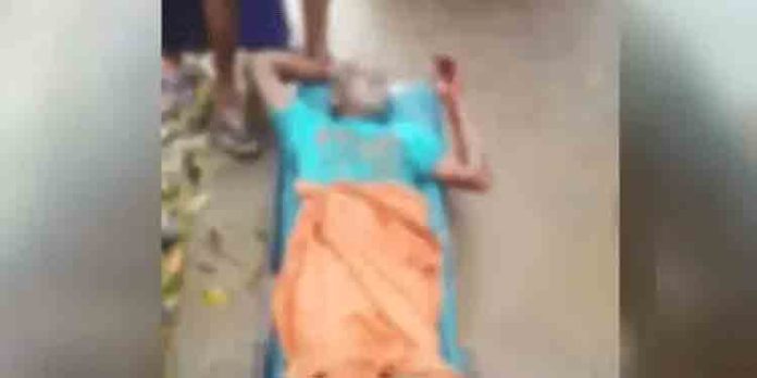 പാലോട് കാട്ടുപന്നിയുടെ ആക്രമണത്തില് ഒരാള്ക്ക് ഗുരുതര പരിക്ക് പാലോട് കാട്ടുപന്നിയുടെ ആക്രമണത്തില് ഒരാള്ക്ക് ഗുരുതര പരിക്ക്
