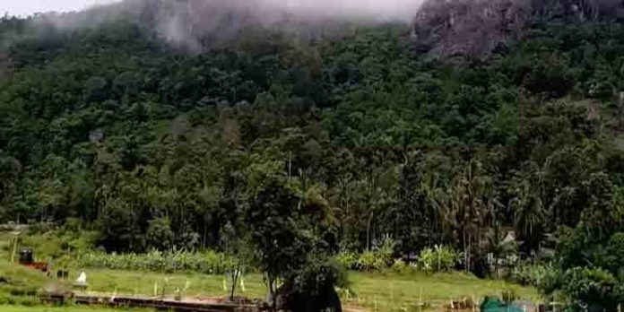 ബഫര് സോണ് വിഷയത്തില് കര്ഷക സംഘടനകള് കരിദിനം ആചരിക്കുന്നു ബഫര് സോണ് വിഷയത്തില് കര്ഷക സംഘടനകള് കരിദിനം ആചരിക്കുന്നു