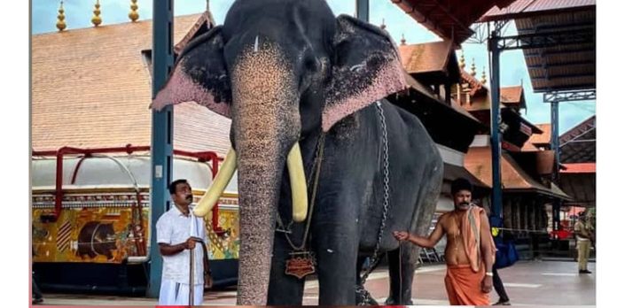 കണ്ണന്റെ തിടമ്പ് ശിരസ്സിലേറ്റുന്നത് ബാലകൃഷ്ണന് കണ്ണന്റെ തിടമ്പ് ശിരസ്സിലേറ്റുന്നത് ബാലകൃഷ്ണന്