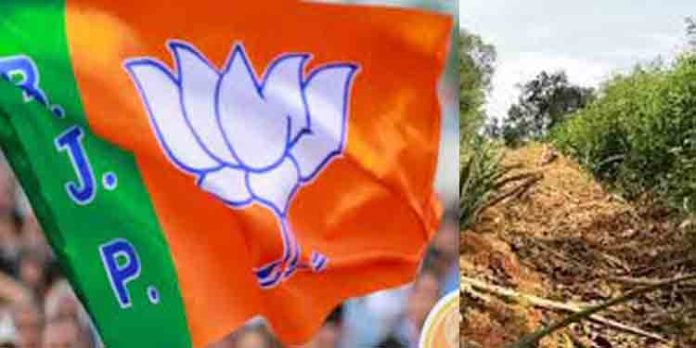 തോട്ടം മേഖലയില് തമ്പടിച്ചിരിക്കുന്ന വന്യമൃഗങ്ങള് പ്രദേശവാസികള്ക്കും തൊഴിലാളികള്ക്കും ഭീഷണിയാകുന്നു തോട്ടം മേഖലയില് തമ്പടിച്ചിരിക്കുന്ന വന്യമൃഗങ്ങള് പ്രദേശവാസികള്ക്കും തൊഴിലാളികള്ക്കും ഭീഷണിയാകുന്നു