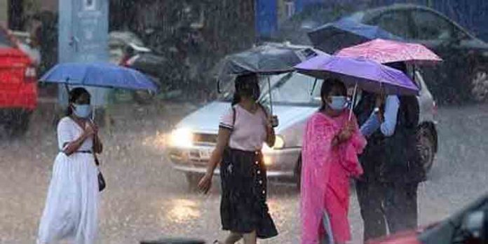 സംസ്ഥാനത്ത് അടുത്ത മൂന്നുദിവസം കൂടി വ്യാപകമായ മഴയ്ക്കും ഒറ്റപ്പെട്ട ശക്തമായ മഴയ്ക്കും സാധ്യത സംസ്ഥാനത്ത് അടുത്ത മൂന്നുദിവസം കൂടി വ്യാപകമായ മഴയ്ക്കും ഒറ്റപ്പെട്ട ശക്തമായ മഴയ്ക്കും സാധ്യത