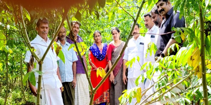 കാട്ടുപന്നി നാശനഷ്ടം വരുത്തിയ സ്ഥലങ്ങൾ കേരളാ കോൺഗ്രസ്സ് (എം) നേതാക്കൾ സന്ദർശിച്ചു കാട്ടുപന്നി നാശനഷ്ടം വരുത്തിയ സ്ഥലങ്ങൾ കേരളാ കോൺഗ്രസ്സ് (എം) നേതാക്കൾ സന്ദർശിച്ചു