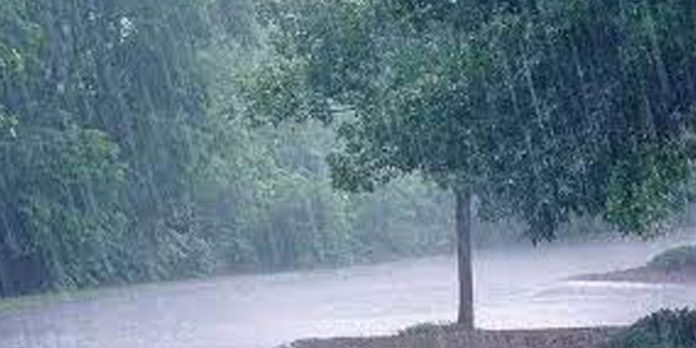 സംസ്ഥാനത്ത് ഇന്ന് പരക്കെ മഴയ്ക്ക് സാധ്യത സംസ്ഥാനത്ത് ഇന്ന് പരക്കെ മഴയ്ക്ക് സാധ്യത