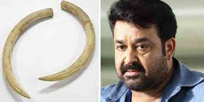ആനക്കൊമ്പ് കേസ് : മോഹന്ലാല് ഹാജരാകണമെന്ന വിധി തടയാനാകില്ലെന്ന് ഹൈക്കോടതി ആനക്കൊമ്പ് കേസ് : മോഹന്ലാല് ഹാജരാകണമെന്ന വിധി തടയാനാകില്ലെന്ന് ഹൈക്കോടതി