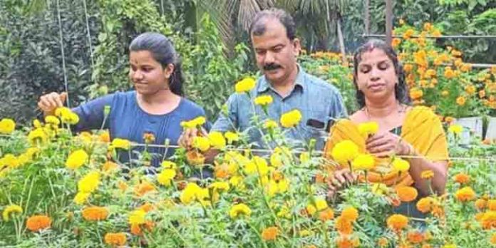 രമണി മികച്ച പൂക്കാരി ; പുരപ്പുറത്താണ് പൂപ്പാടം രമണി മികച്ച പൂക്കാരി ; പുരപ്പുറത്താണ് പൂപ്പാടം