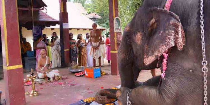 പുതുക്കുളങ്ങര ദേവീക്ഷേത്രത്തിൽ വിനായകചതുർത്ഥി ആഘോഷങ്ങൾ സമാപിച്ചു പുതുക്കുളങ്ങര ദേവീക്ഷേത്രത്തിൽ വിനായകചതുർത്ഥി ആഘോഷങ്ങൾ സമാപിച്ചു