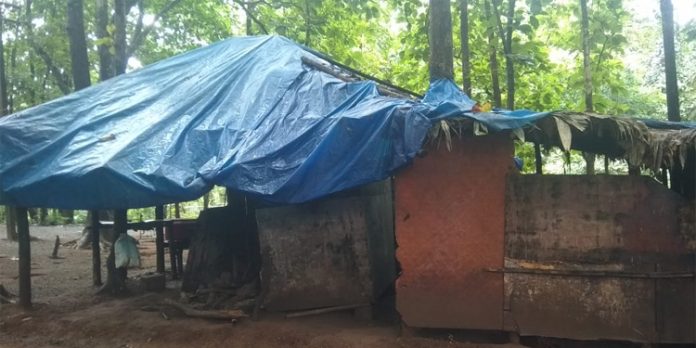 ആരണ്യകം കഫേ വനശ്രീ ചോർന്ന് ഒലിക്കുന്നു ആരണ്യകം കഫേ വനശ്രീ ചോർന്ന് ഒലിക്കുന്നു