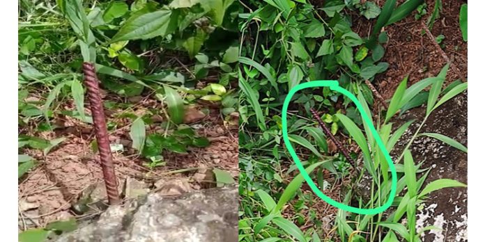 അപകടം തുടർക്കഥയാകുന്നു ; നാളെ വള്ളിക്കോട് റോഡ് ഉപരോധം അപകടം തുടർക്കഥയാകുന്നു ; നാളെ വള്ളിക്കോട് റോഡ് ഉപരോധം
