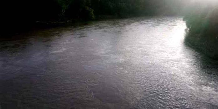 കല്ലാറിലെ വടശ്ശേരിക്കര കടവില് മധ്യവയസ്കന് നദിയില് ചാടി കല്ലാറിലെ വടശ്ശേരിക്കര കടവില് മധ്യവയസ്കന് നദിയില് ചാടി