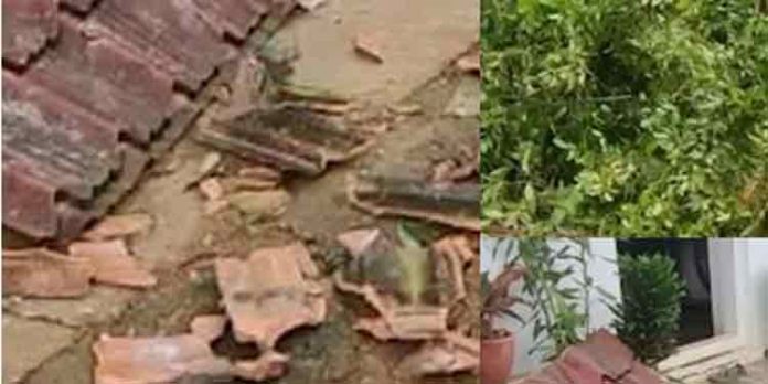 ചുഴലിക്കാറ്റില് വ്യാപക നാശനഷ്ടം ചുഴലിക്കാറ്റില് വ്യാപക നാശനഷ്ടം