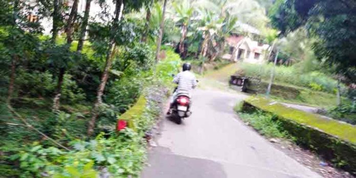 ജില്ലാ അതിർത്തിയിലെ പാലം അപകട ഭീഷണിയിൽ ജില്ലാ അതിർത്തിയിലെ പാലം അപകട ഭീഷണിയിൽ
