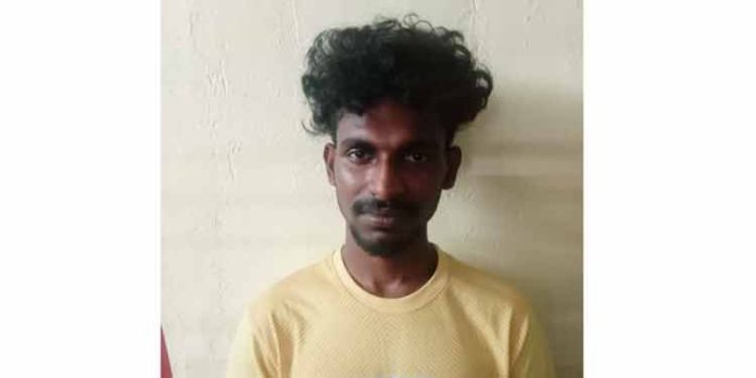 പ്രായപൂർത്തിയാകാത്ത പെൺകുട്ടിയെ ലൈംഗികമായി പീഡിപ്പിച്ച യുവാവ് അറസ്റ്റിൽ പ്രായപൂർത്തിയാകാത്ത പെൺകുട്ടിയെ ലൈംഗികമായി പീഡിപ്പിച്ച യുവാവ് അറസ്റ്റിൽ