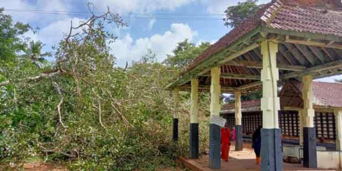 ക്ഷേത്ര വളപ്പിലെ ആല്മരം കടപുഴകി വീണു ; ദര്ശനത്തിന് എത്തിയ 65 കാരിക്ക് പരിക്ക് ക്ഷേത്ര വളപ്പിലെ ആല്മരം കടപുഴകി വീണു ; ദര്ശനത്തിന് എത്തിയ 65 കാരിക്ക് പരിക്ക്