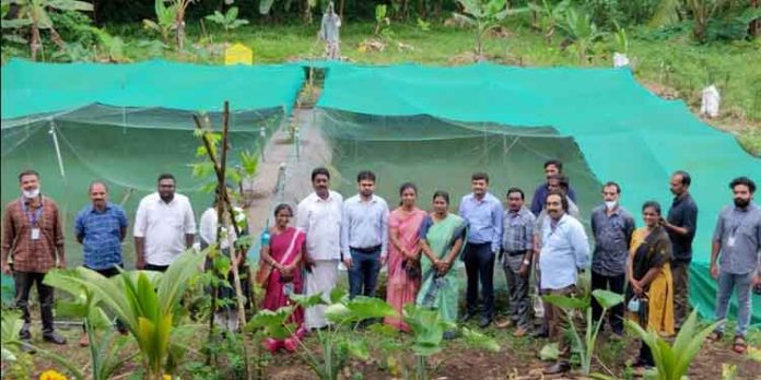 ജല്ശക്തി അഭിയാന് : കേന്ദ്ര സംഘത്തിന്റെ ജില്ലയിലെ മൂന്നു ദിവസത്തെ പര്യടനത്തിന് തുടക്കമായി ജല്ശക്തി അഭിയാന് : കേന്ദ്ര സംഘത്തിന്റെ ജില്ലയിലെ മൂന്നു ദിവസത്തെ പര്യടനത്തിന് തുടക്കമായി