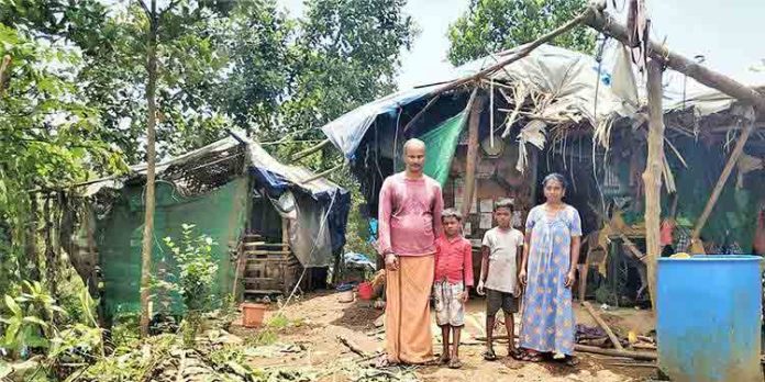 ആറളം ഫാമിലെ ആദിവാസി പുനരധിവാസമേഖലകളില് കാട്ടാനകളുടെ വിളയാട്ടം ആറളം ഫാമിലെ ആദിവാസി പുനരധിവാസമേഖലകളില് കാട്ടാനകളുടെ വിളയാട്ടം