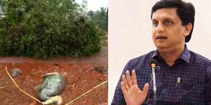 മരം മുറിച്ച് പക്ഷികള് അരുംകൊല ചെയ്യപ്പെട്ട സംഭവം ; പൊതുമരാമത്ത് മന്ത്രി റിപ്പോര്ട്ട് ആവശ്യപ്പെട്ടു മരം മുറിച്ച് പക്ഷികള് അരുംകൊല ചെയ്യപ്പെട്ട സംഭവം ; പൊതുമരാമത്ത് മന്ത്രി റിപ്പോര്ട്ട് ആവശ്യപ്പെട്ടു