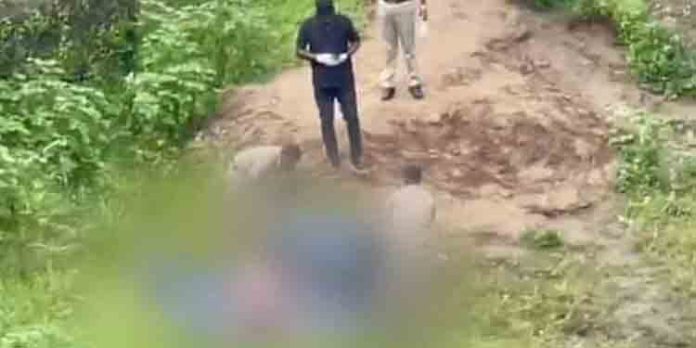 കോതമംഗലത്ത് ഒരാളെ ദുരൂഹ സാഹചര്യത്തില് മരിച്ച നിലയില് കണ്ടെത്തി കോതമംഗലത്ത് ഒരാളെ ദുരൂഹ സാഹചര്യത്തില് മരിച്ച നിലയില് കണ്ടെത്തി