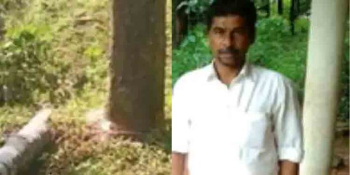 മരം മുറിക്കുന്നതിനിടയില് മരക്കൊമ്പ് തലയില് വീണ് തൊഴിലാളിയ്ക്ക് ദാരുണാന്ത്യം മരം മുറിക്കുന്നതിനിടയില് മരക്കൊമ്പ് തലയില് വീണ് തൊഴിലാളിയ്ക്ക് ദാരുണാന്ത്യം