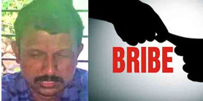 കൈക്കൂലി വാങ്ങിയ വില്ലേജ് ഫീല്ഡ് അസിസ്റ്റന്റ് അറസ്റ്റില് കൈക്കൂലി വാങ്ങിയ വില്ലേജ് ഫീല്ഡ് അസിസ്റ്റന്റ് അറസ്റ്റില്