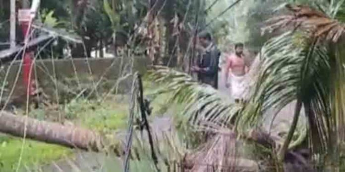 തൃശൂരില് വീണ്ടും മിന്നല് ചുഴലി ; മരങ്ങളും വൈദ്യുതി പോസ്റ്റുകളും കടപുഴകി വീണു തൃശൂരില് വീണ്ടും മിന്നല് ചുഴലി ; മരങ്ങളും വൈദ്യുതി പോസ്റ്റുകളും കടപുഴകി വീണു