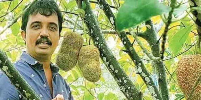 ചെമ്പടാക്ക് കൃഷിയില് വിജയം കൊയ്ത് അടൂര് സ്വദേശി ചെമ്പടാക്ക് കൃഷിയില് വിജയം കൊയ്ത് അടൂര് സ്വദേശി