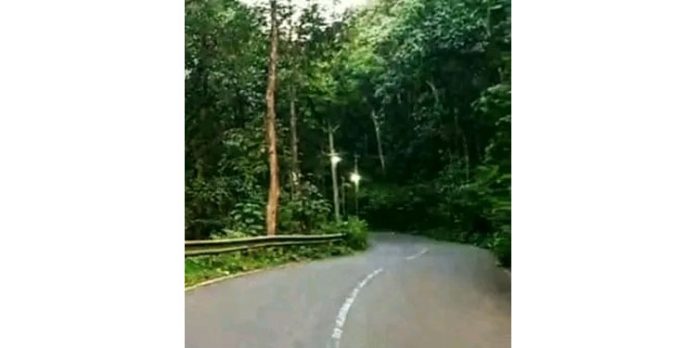 ഞള്ളൂർ വന പാതയിലെ വെളിച്ചം ഒരാഴ്ചക്കുള്ളിൽ അണഞ്ഞു ഞള്ളൂർ വന പാതയിലെ വെളിച്ചം ഒരാഴ്ചക്കുള്ളിൽ അണഞ്ഞു
