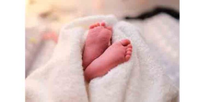 പൊന്തക്കാട്ടിൽ ഉപേക്ഷിക്കപ്പെട്ട നിലയിൽ കണ്ടെത്തിയ കുഞ്ഞ് തന്റെതെന്ന് സമ്മതിച്ച് യുവതി പൊന്തക്കാട്ടിൽ ഉപേക്ഷിക്കപ്പെട്ട നിലയിൽ കണ്ടെത്തിയ കുഞ്ഞ് തന്റെതെന്ന് സമ്മതിച്ച് യുവതി