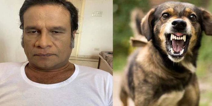 പട്ടിയിറച്ചി പ്രമേഹത്തിനും ഹാര്ട്ട് അറ്റാക്കിനും നല്ലതെന്ന് പറഞ്ഞാല് തീരുന്ന പ്രശ്നമേ ഉള്ളൂ : ഹരീഷ് പേരടി പട്ടിയിറച്ചി പ്രമേഹത്തിനും ഹാര്ട്ട് അറ്റാക്കിനും നല്ലതെന്ന് പറഞ്ഞാല് തീരുന്ന പ്രശ്നമേ ഉള്ളൂ : ഹരീഷ് പേരടി