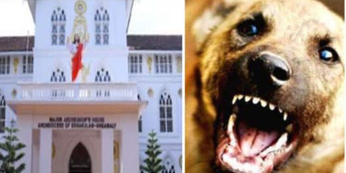 തെരുവുനായ ശല്യം : സംസ്ഥാന സർക്കാരിനെ വിമർശിച്ച് അങ്കമാലി അതിരൂപത തെരുവുനായ ശല്യം : സംസ്ഥാന സർക്കാരിനെ വിമർശിച്ച് അങ്കമാലി അതിരൂപത