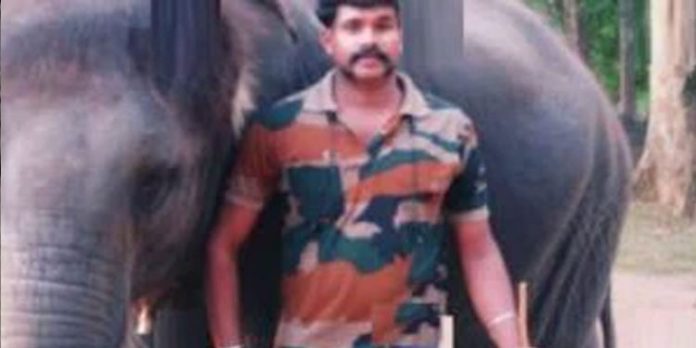 കാട്ടാന ആക്രമണത്തില് പരുക്കേറ്റ ആര്ആര്ടി വാച്ചര് മരിച്ചു കാട്ടാന ആക്രമണത്തില് പരുക്കേറ്റ ആര്ആര്ടി വാച്ചര് മരിച്ചു
