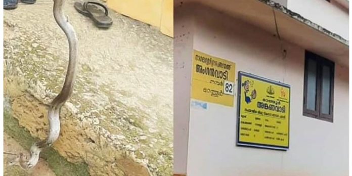 പാലക്കാട് അങ്കനവാടിയില് പാമ്പ് കയറി പാലക്കാട് അങ്കനവാടിയില് പാമ്പ് കയറി