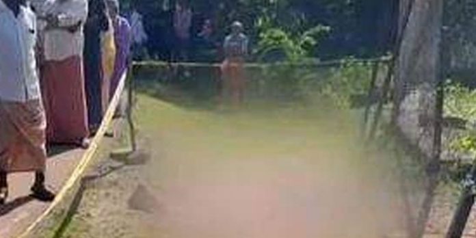 വൈദ്യുതി വേലിയില് നിന്ന് ഷോക്കേറ്റ് തോട്ടം തൊഴിലാളി മരിച്ചു വൈദ്യുതി വേലിയില് നിന്ന് ഷോക്കേറ്റ് തോട്ടം തൊഴിലാളി മരിച്ചു