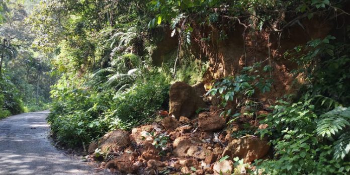 കിഴക്കുപുറം ജംഗ്ഷനിൽ മിനി ഹൈമാസ്റ്റ് ലൈറ്റ് സ്ഥാപിക്കണമെന്ന ആവശ്യം ശക്തമാകുന്നു കിഴക്കുപുറം ജംഗ്ഷനിൽ മിനി ഹൈമാസ്റ്റ് ലൈറ്റ് സ്ഥാപിക്കണമെന്ന ആവശ്യം ശക്തമാകുന്നു