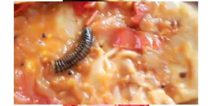 ഭക്ഷണത്തില് ചത്ത അട്ടയുടെ അവശിഷ്ടം : ഡയബറ്റീസ് സെന്ററിന്റെ ക്യാന്റിന് പൂട്ടി ഭക്ഷണത്തില് ചത്ത അട്ടയുടെ അവശിഷ്ടം : ഡയബറ്റീസ് സെന്ററിന്റെ ക്യാന്റിന് പൂട്ടി