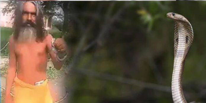 റീല്സ് എടുക്കുന്നവര്ക്കു മുമ്പില് പോസ് ചെയ്യാനായി പാമ്പിനെ കഴുത്തിലിട്ടയാള്ക്ക് ദാരുണാന്ത്യം റീല്സ് എടുക്കുന്നവര്ക്കു മുമ്പില് പോസ് ചെയ്യാനായി പാമ്പിനെ കഴുത്തിലിട്ടയാള്ക്ക് ദാരുണാന്ത്യം