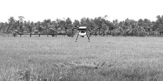 കളനാശിനി തളിക്കാന് കാര്ഷിക ഡ്രോണുകള് ഇറങ്ങി കളനാശിനി തളിക്കാന് കാര്ഷിക ഡ്രോണുകള് ഇറങ്ങി