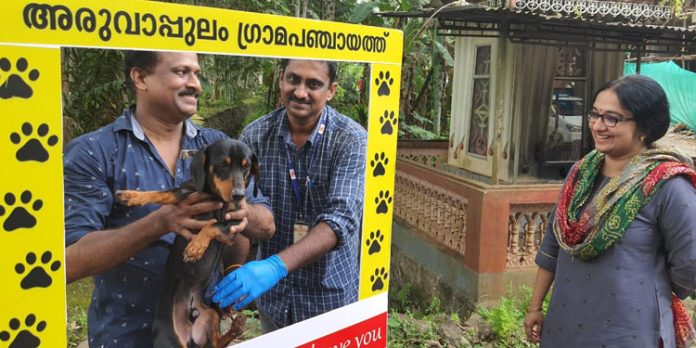 പേവിഷബാധ പ്രതിരോധ കുത്തിവെയ്പ്പ് ക്യാമ്പ് ജില്ലാ കളക്ടര് സന്ദര്ശിച്ചു പേവിഷബാധ പ്രതിരോധ കുത്തിവെയ്പ്പ് ക്യാമ്പ് ജില്ലാ കളക്ടര് സന്ദര്ശിച്ചു