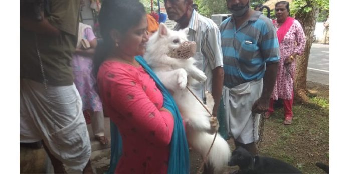 കോന്നി മൃഗാശുപത്രിയിൽ ഡോക്ടറുടെ സേവനം ലഭ്യമല്ല കോന്നി മൃഗാശുപത്രിയിൽ ഡോക്ടറുടെ സേവനം ലഭ്യമല്ല