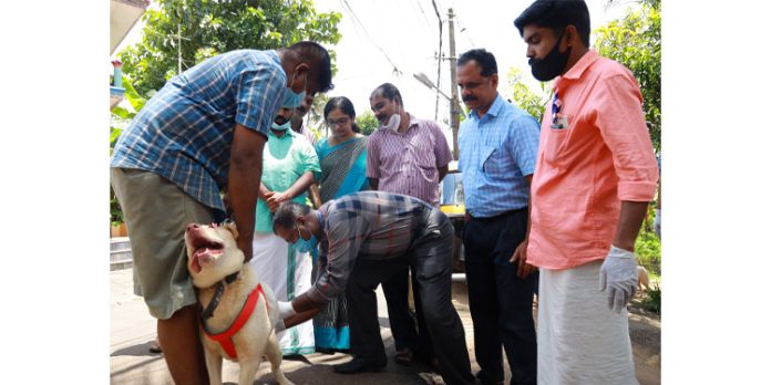 തെരുവുനായ പ്രശ്നം : ആക്ഷന് പ്ലാന് നടപ്പാക്കി തുടങ്ങിയെന്ന് ജില്ലാ കളക്ടര് തെരുവുനായ പ്രശ്നം : ആക്ഷന് പ്ലാന് നടപ്പാക്കി തുടങ്ങിയെന്ന് ജില്ലാ കളക്ടര്
