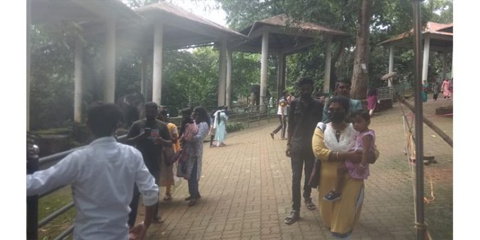 ആനക്കൂടും അടവിയും ഓണത്തിരക്കിലുണർന്നു ആനക്കൂടും അടവിയും ഓണത്തിരക്കിലുണർന്നു