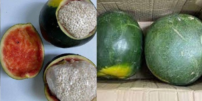 തണ്ണിമത്തനില് മയക്കുമരുന്ന് ഒളിപ്പിച്ച് കടത്താൻ ശ്രമം ; അഞ്ചംഗ സംഘം സൗദിയിൽ അറസ്റ്റിൽ തണ്ണിമത്തനില് മയക്കുമരുന്ന് ഒളിപ്പിച്ച് കടത്താൻ ശ്രമം ; അഞ്ചംഗ സംഘം സൗദിയിൽ അറസ്റ്റിൽ